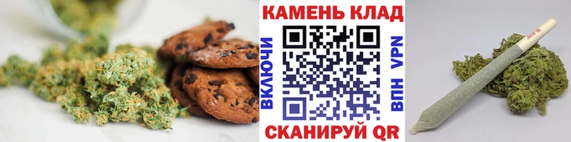 купить наркотики цена  Шацк  Cannafood конопля 