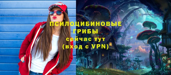 эйфоретик Нязепетровск